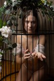 AlexaBirch_241211-1612