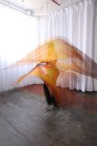 Cat_260304-1004