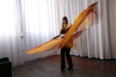 Cat_260304-1008