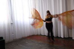 Cat_260304-1026