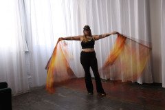 Cat_260304-1028