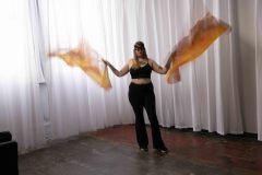 Cat_260304-1029