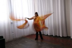 Cat_260304-1040