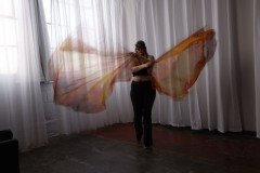 Cat_260304-1066
