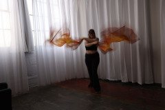 Cat_260304-1068