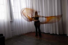 Cat_260304-1069
