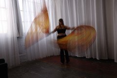 Cat_260304-1078