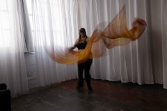 Cat_260304-1081