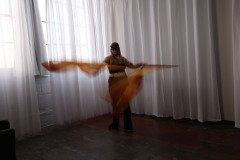 Cat_260304-1084