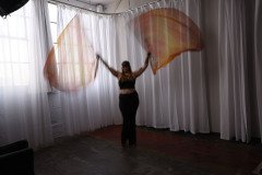 Cat_260304-1088