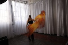 Cat_260304-1102