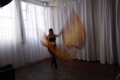 Cat_260304-1108