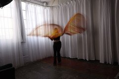 Cat_260304-1114