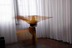 Cat_260304-1137