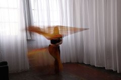 Cat_260304-1138