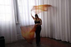 Cat_260304-1148