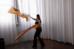 Cat_260304-1149