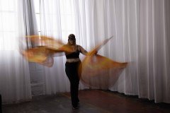 Cat_260304-1151