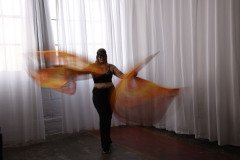 Cat_260304-1152