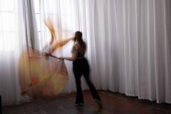 Cat_260304-1153
