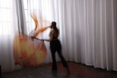 Cat_260304-1154