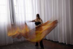Cat_260304-1155