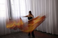 Cat_260304-1156