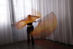 Cat_260304-1158