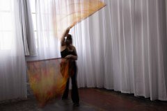 Cat_260304-1159