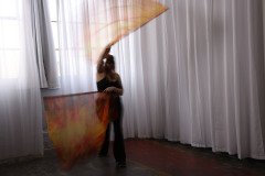Cat_260304-1160