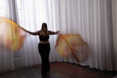 Cat_260304-1161