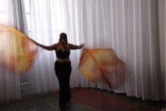 Cat_260304-1162