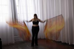 Cat_260304-1163
