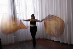 Cat_260304-1165
