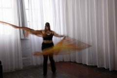 Cat_260304-1167