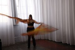 Cat_260304-1168
