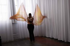 Cat_260304-1169