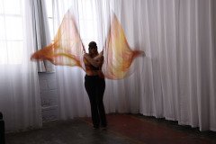 Cat_260304-1170