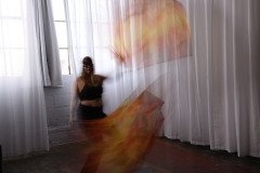 Cat_260304-1176
