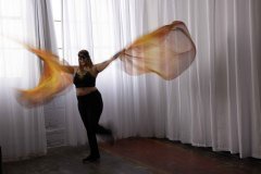 Cat_260304-1179