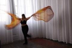 Cat_260304-1180