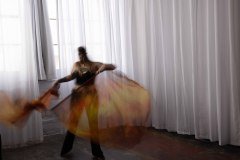 Cat_260304-1181