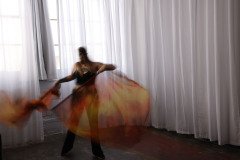 Cat_260304-1182