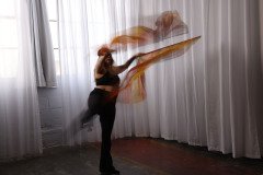 Cat_260304-1184
