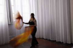 Cat_260304-1185