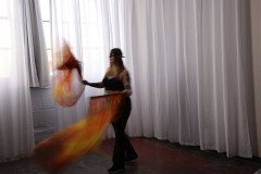 Cat_260304-1186