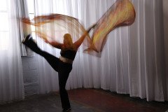 Cat_260304-1188