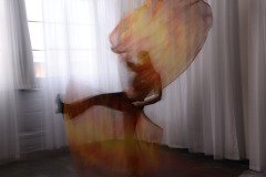 Cat_260304-1192