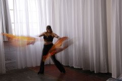 Cat_260304-1208