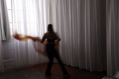 Cat_260304-1216